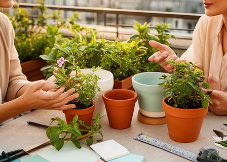 Consulenza per un terrazzo urbano con campioni di vasi e piante disposti su un tavolo
